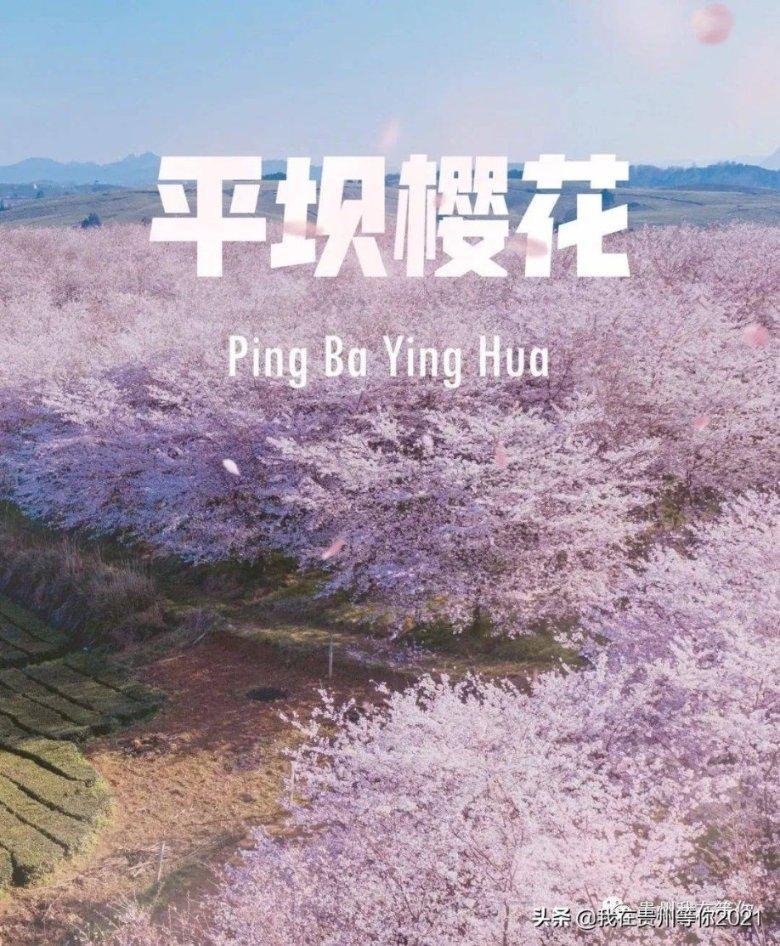 9170官方金沙入口